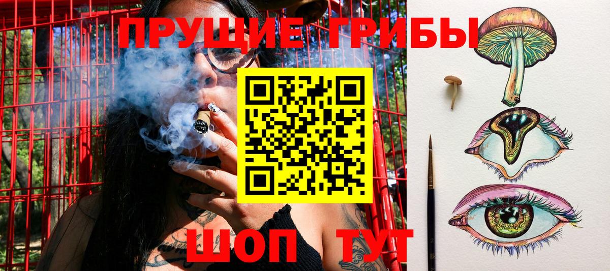 Галлюциногенные грибы GOLDEN TEACHER Калуга