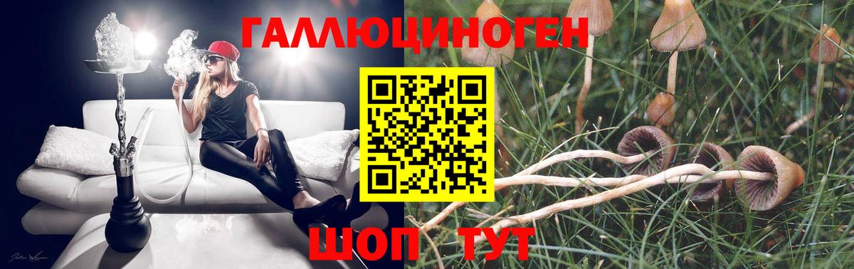 Псилоцибиновые грибы мицелий  Вход с VPN  Калуга  Галлюциногенные грибы ЛСД 